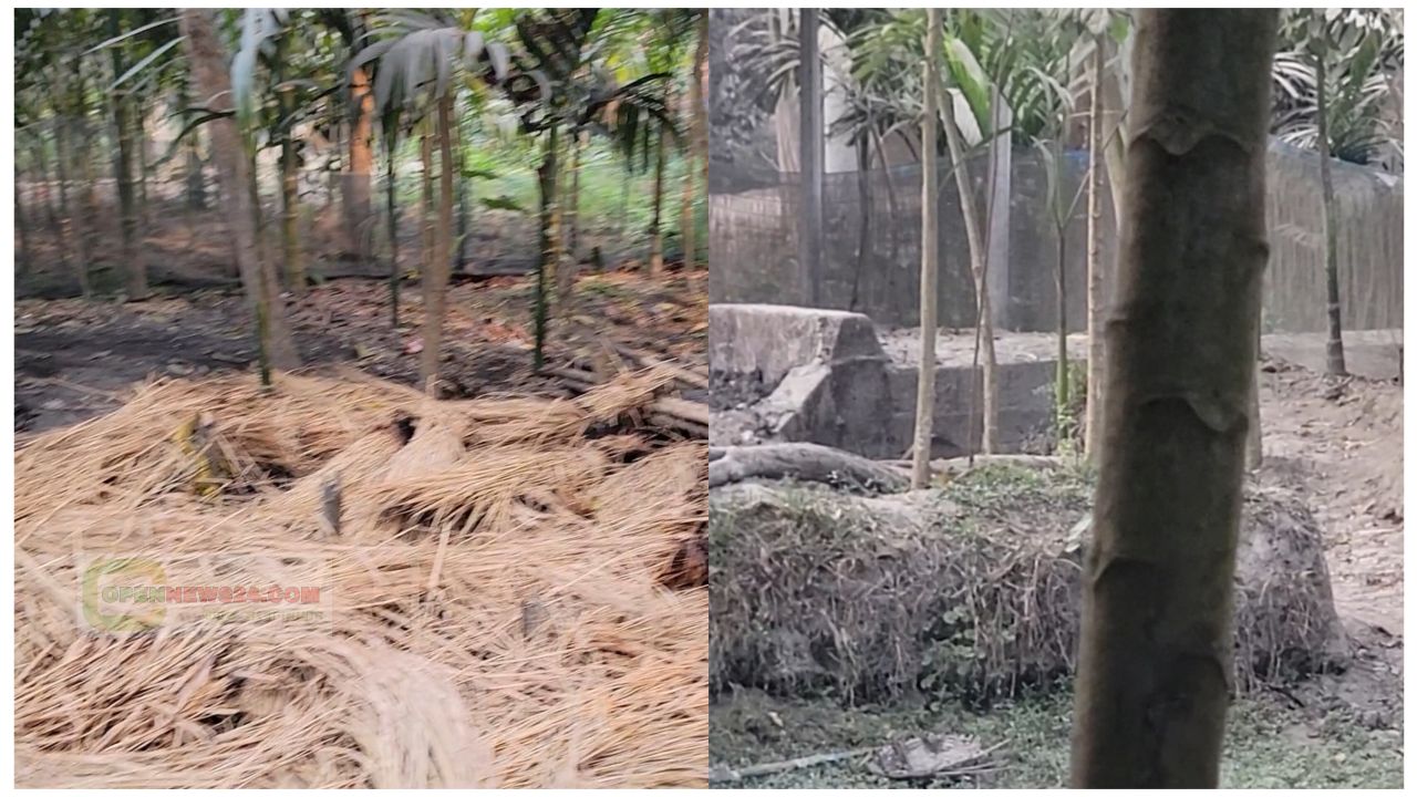 কাউনিয়ায় ছাগলকে কেন্দ্র করে মারধর ও বাড়িঘর ভাঙচুরের অভিযোগ