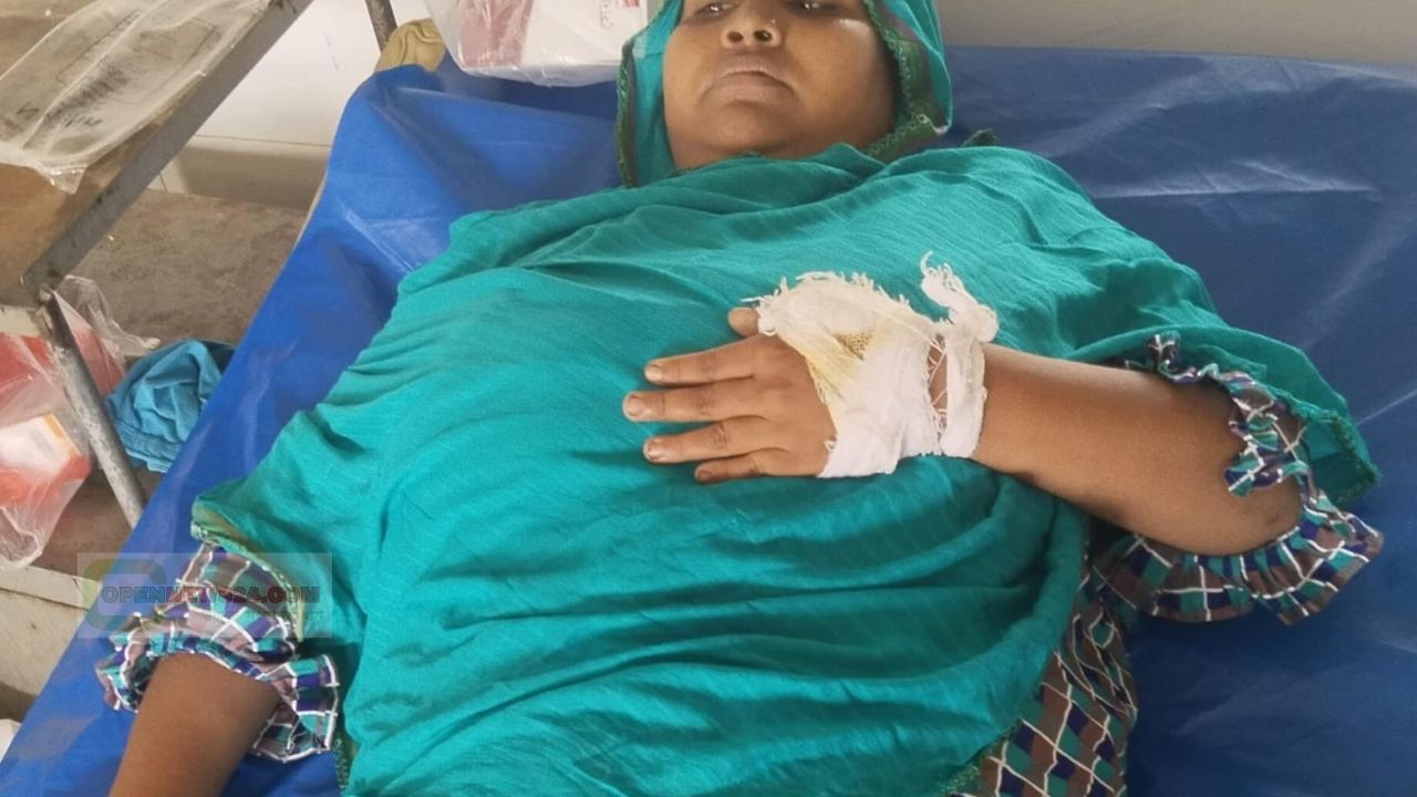 লালমোহনে জমি বিরোধে চাচার হামলায় তিন ভাতিজী আহত, আতঙ্কে পরিবার থানায় অভিযো